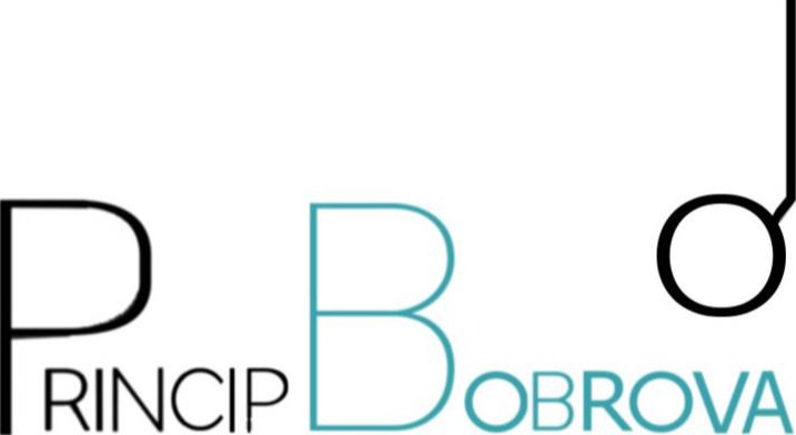 Princip Bobrova